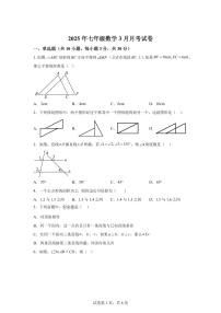 广东省惠州市一中集团2024~2025学年下学期3月月考七年级数学试卷
