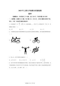 湖南省邵阳市新邵县2024~2025学年七年级下学期期末考试数学试题