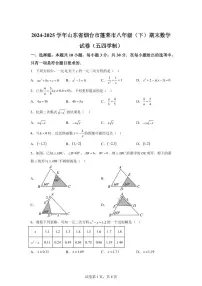 山东省烟台市蓬莱市2024~2025学年下学期八年级期末数学试卷（五四学制）