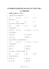 四川省绵阳市东辰国际学校2024~2025学年八年级下学期3月月考数学试卷