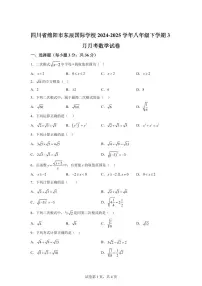 四川省绵阳市东辰国际学校2024~2025学年八年级下学期3月月考数学试卷