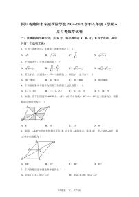 四川省绵阳市东辰国际学校2024~2025学年八年级下学期6月月考数学试卷