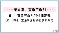 初中数学湘教版（2024）八年级上册（2024）5.1 直角三角形的性质定理习题课件ppt