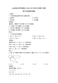 【数学】山东省东营市利津县2024-2025学年七年级下学期期中考试试题（解析版）