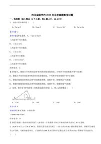 四川省南充市2025年中考真题数学试题及同步解析