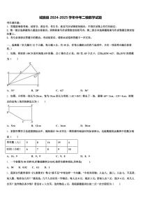 城固县2024-2025学年中考二模数学试题含解析