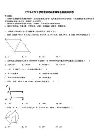 2024-2025学年宁安市中考数学全真模拟试卷含解析