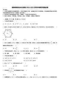 楚雄彝族自治州元谋县2024-2025学年中考数学四模试卷含解析