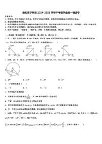 崇左市宁明县2024-2025学年中考数学最后一模试卷含解析