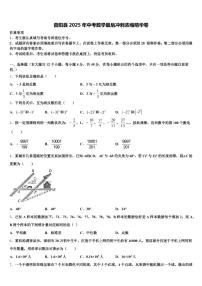 昔阳县2025年中考数学最后冲刺浓缩精华卷含解析