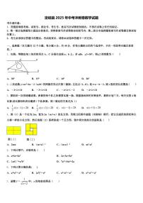 定结县2025年中考冲刺卷数学试题含解析