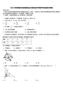 2025年黔西南布依族苗族自治州普安县中考数学考试模拟冲刺卷含解析