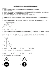 泰州市海陵区2025届中考数学模拟精编试卷含解析