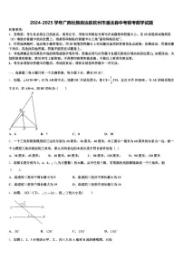 2024-2025学年广西壮族自治区钦州市浦北县中考联考数学试题含解析