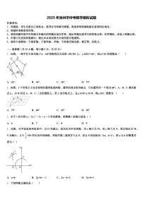 2025年池州市中考数学模拟试题含解析