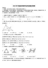 2025年丁青县初中数学毕业考试模拟冲刺卷含解析