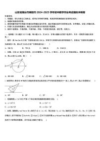 山东省烟台市莱阳市2024-2025学年初中数学毕业考试模拟冲刺卷含解析