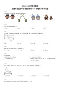 2024~2025学年江苏南京建邺区金陵中学河西分校初一下学期期末数学试卷（有答案解析）
