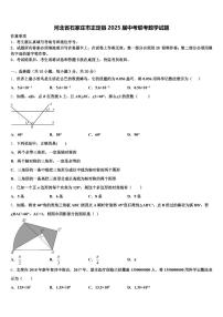 河北省石家庄市正定县2025届中考联考数学试题含解析