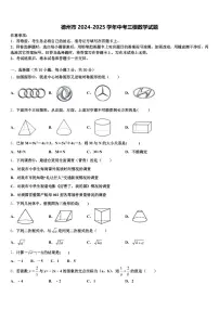 德州市2024-2025学年中考三模数学试题含解析