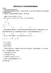 邯郸市永年县2025届中考数学模拟精编试卷含解析