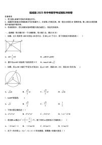 临城县2025年中考数学考试模拟冲刺卷含解析