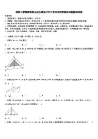 湘西土家族苗族自治州永顺县2025年中考数学最后冲刺模拟试卷含解析