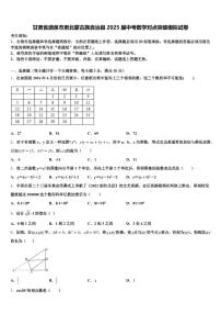 甘肃省酒泉市肃北蒙古族自治县2025届中考数学对点突破模拟试卷含解析