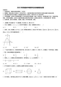 2025年阜城县中考数学对点突破模拟试卷含解析