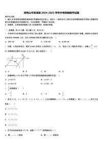 双鸭山市宝清县2024-2025学年中考四模数学试题含解析