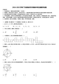 2024-2025学年广东省梅州市丰顺县中考五模数学试题含解析