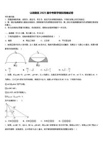 让胡路区2025届中考数学模拟精编试卷含解析
