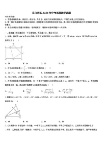头屯河区2025年中考五模数学试题含解析