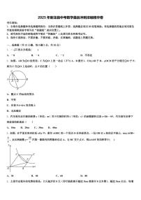 2025年新龙县中考数学最后冲刺浓缩精华卷含解析