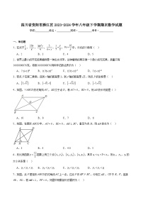 四川省资阳市雁江区2023-2024学年八年级下学期期末考试数学试卷(含解析)