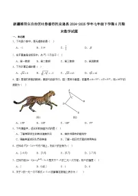 新疆维吾尔自治区吐鲁番市托克逊县2024-2025学年七年级下学期6月期末考试数学试卷(含解析)