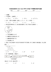 河南省洛阳市2023-2024学年七年级下学期期末测试数学试卷(含解析)