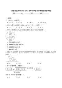河南省洛阳市2023-2024学年七年级下学期期末测试数学试卷(含解析)