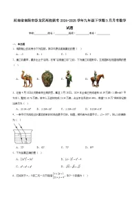 河南省南阳市卧龙区两校联考2025届九年级下学期3月月考数学试卷(含解析)