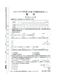 河南省驻马店市泌阳县二校联考2024-2025学年七年级下学期6月月考数学试卷(含答案)
