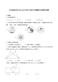 江西省抚州市2024-2025学年七年级下学期期末测试数学试卷(含解析)