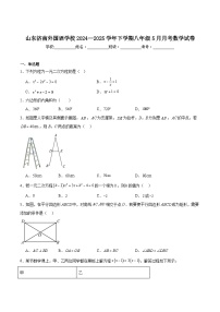 山东省济南市外国语学校2024-2025学年八年级下学期5月月考数学试卷(含解析)