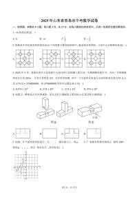 2025年山东省青岛市中考数学试卷（含答案）