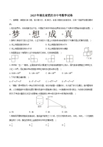 2025年湖北省武汉市中考数学试卷（含解析）