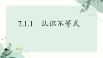 华东师大版（2024）七年级下册二元一次方程组和它的解评课课件ppt