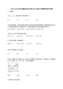 2024~2025学年安徽省合肥市蜀山区七年级下册期末数学试卷（含答案）