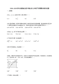 2024~2025学年安徽省合肥市蜀山区七年级下册期末数学试卷（含答案）