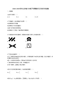 2024~2025学年江苏省八年级下册数学五月份月考试卷（含答案）