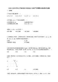 2024~2025学年江西省南昌市南昌县八年级下册期末测试数学试卷（含答案）