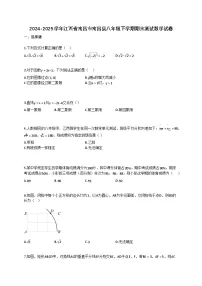 2024~2025学年江西省南昌市南昌县八年级下册期末测试数学试卷（含答案）